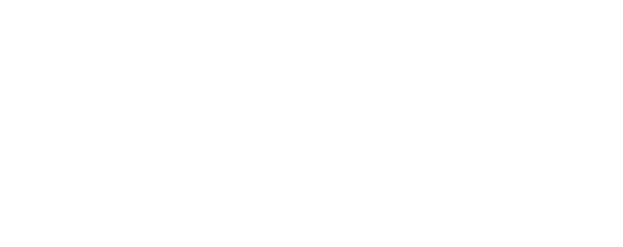 Overall Score